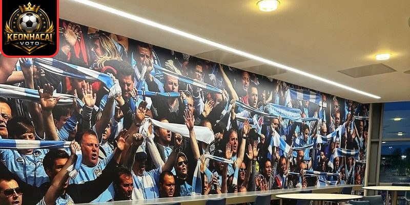 Fan Man City Gọi Là Gì? Nguồn Gốc Tên Gọi Và Ý Nghĩa 1 Fan Man City gọi là gì?
