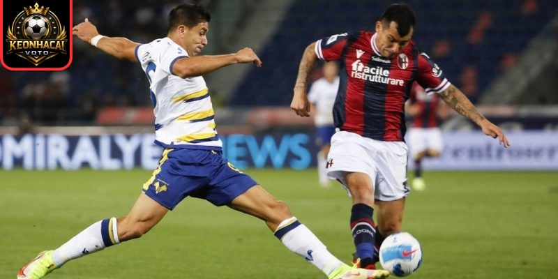 Soi kèo nhận định trận Hellas Verona vs Bologna (00:30 16/01 | Serie A) 3 Thông tin lực lượng trận Hellas Verona vs Bologna (00:30 16/01 | Serie A)