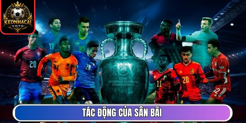 Tác động của sân bãi